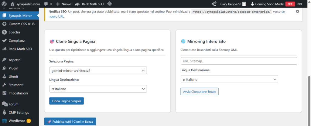 Gemini-Mirror-Architect
